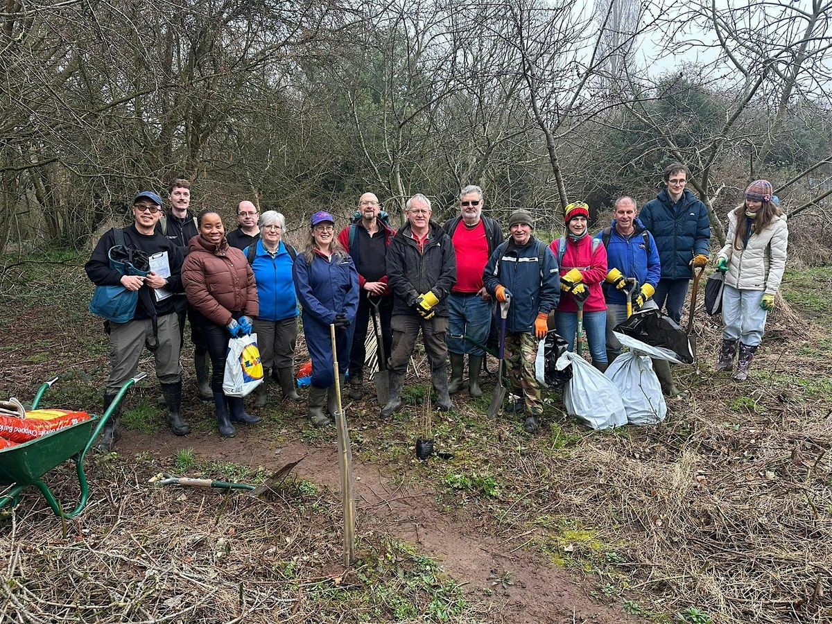 Volunteer Working Party