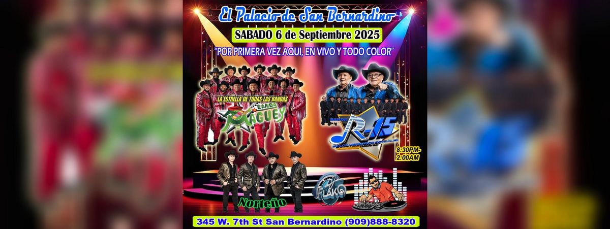 BANDA MAGUEY Y BANDA R-15 DE LOS HERMANOS GONZALEZ