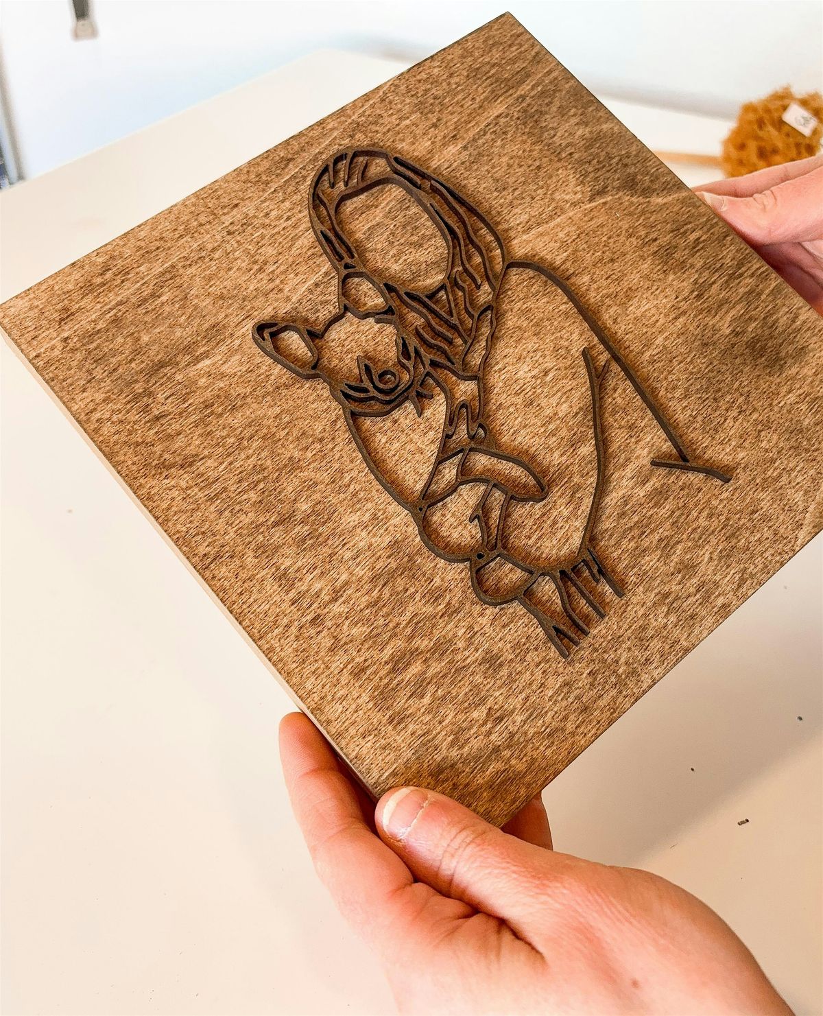 Learning Laser Art: Make Your Own Laser-Cut Line Drawings