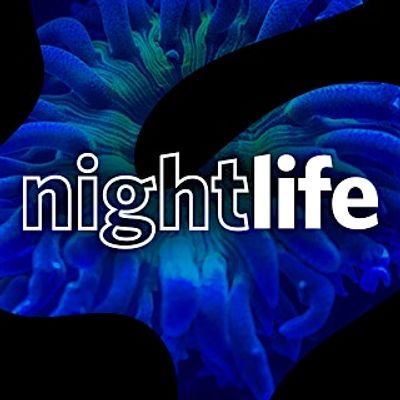 NightLife at California Academy of Sciences