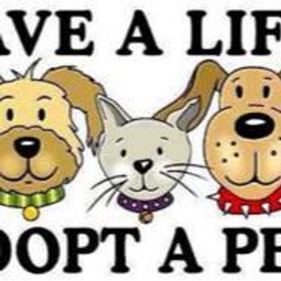 Yappy Tails Animal Rescue