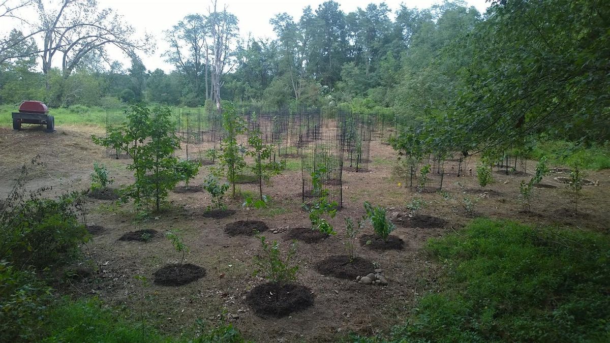 Tree Tending in Neshaminy State Park,PA-(River Trail) spring\/fall 2025
