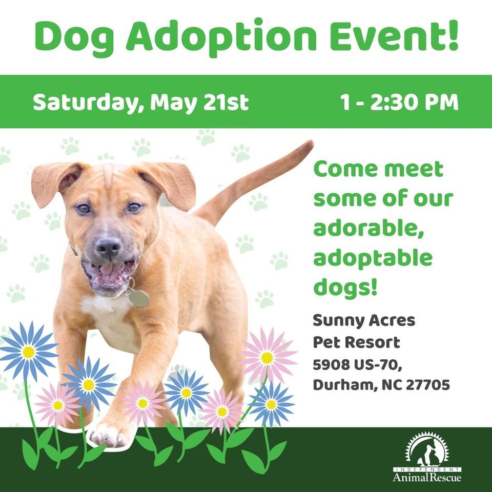 Dog Adoption Event | Sunny Acres Pet Resort, Hillsborough, NC | May 21 ...