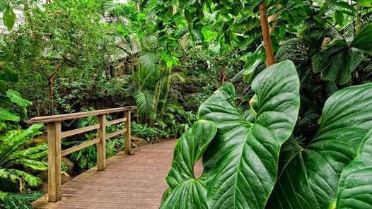 Spend a Day Strolling Brooklyn Botanic Garden