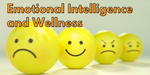 Emotional Intelligence and Wellness (A Practical Guide)