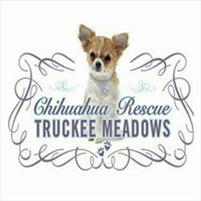 Chihuahua Rescue Truckee Meadows, Inc