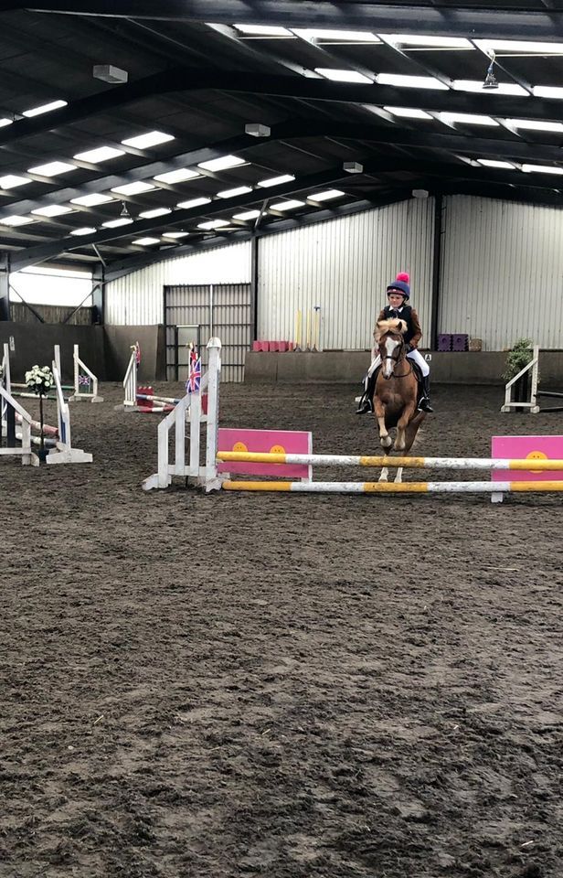 Show Jump Training Competition Wilsden Equestrian Centre, Bradford