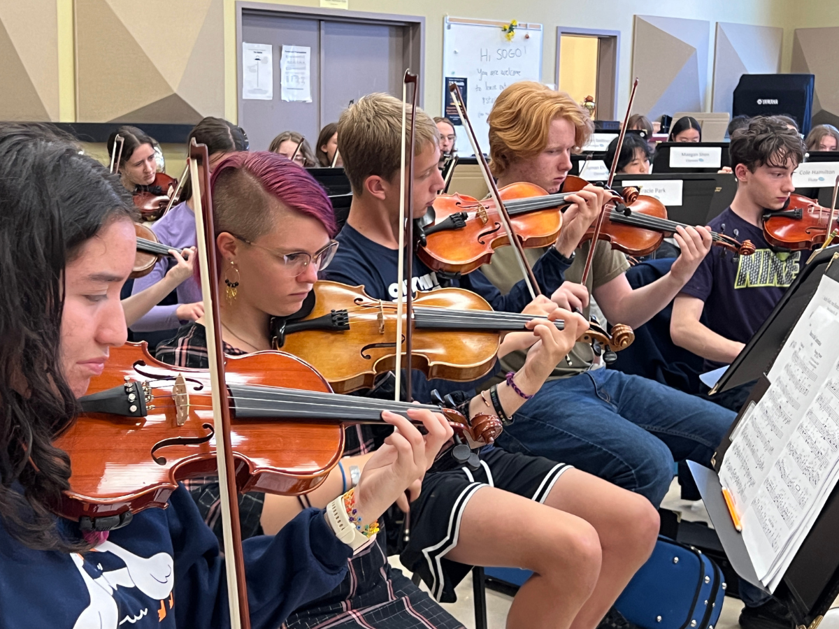 Student Orchestras of Greater Olympia at Washington Center for the Performing Arts