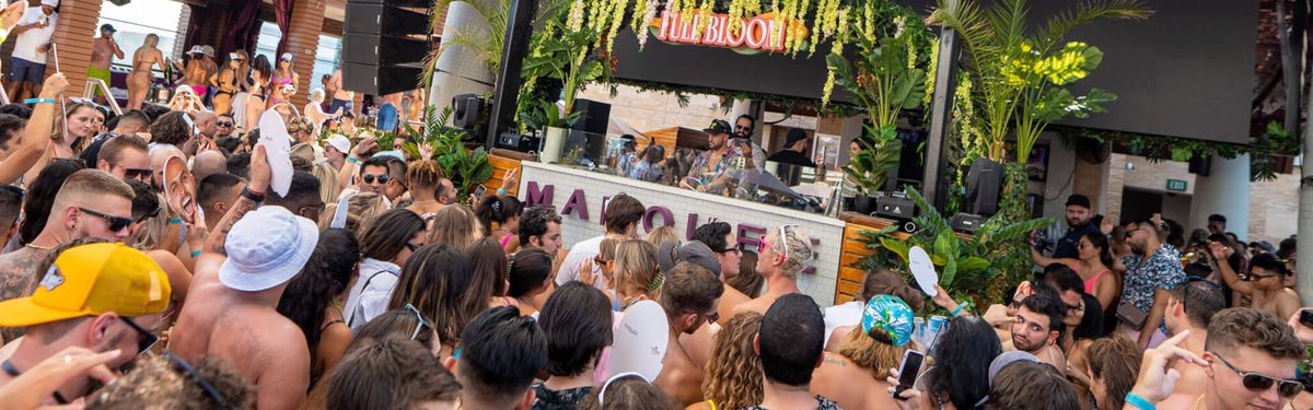 Fisher - DJ at Red Rocks Amphitheatre