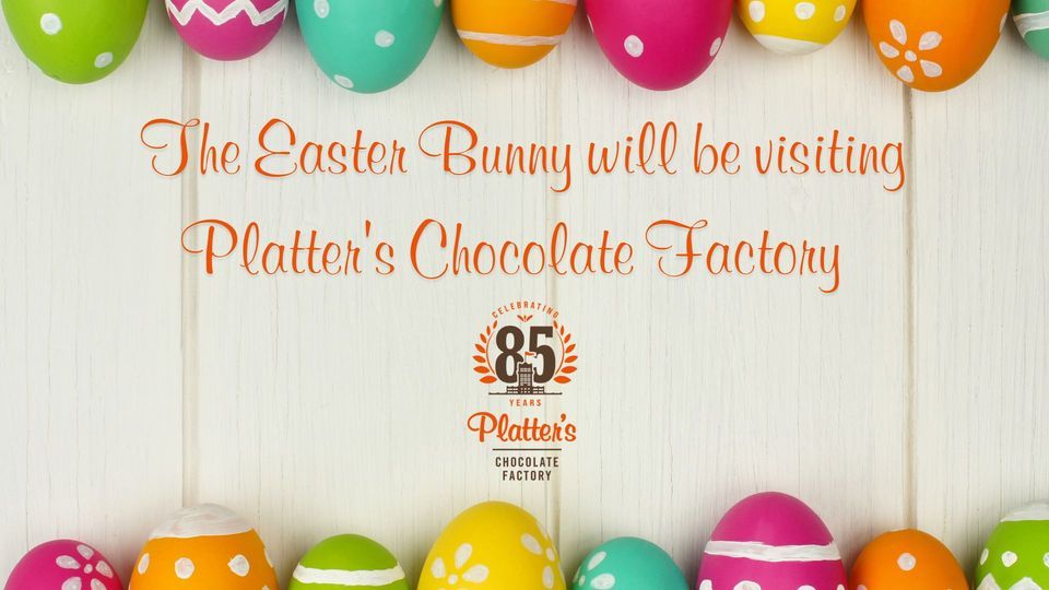 Easter Bunny at Platters Chocolate Factory Platter's Chocolate