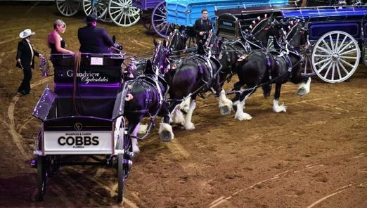 Grandview World Nights