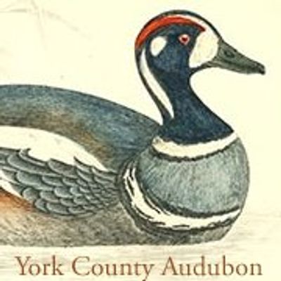 York County Audubon