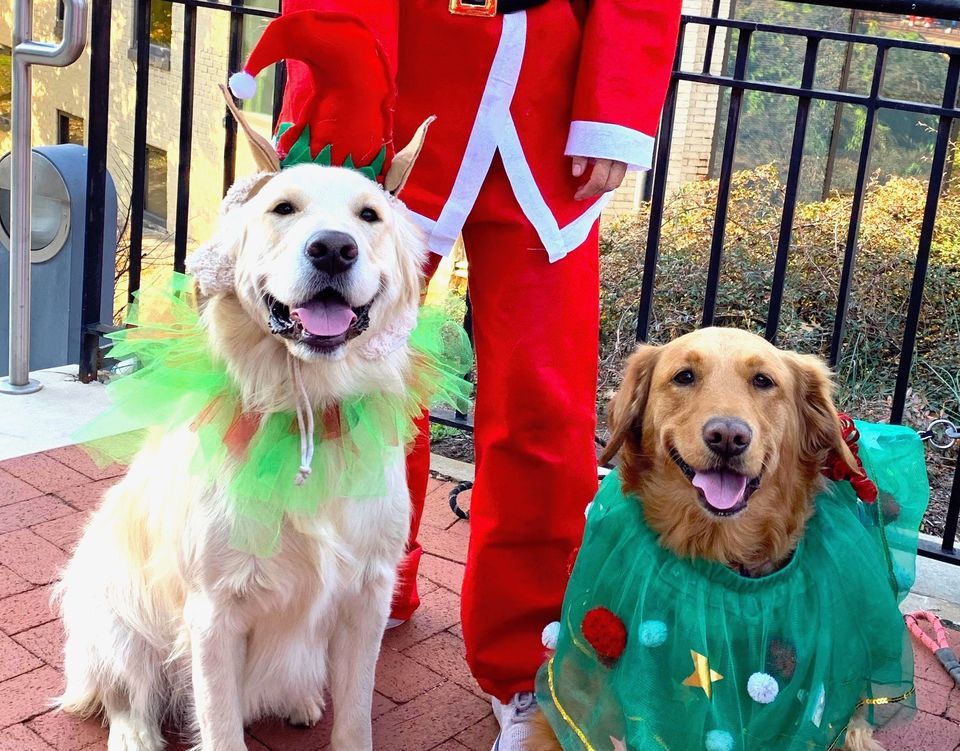 Best Dressed "Holiday Hounds" Contest at the Santa Fun Run/Walk for The