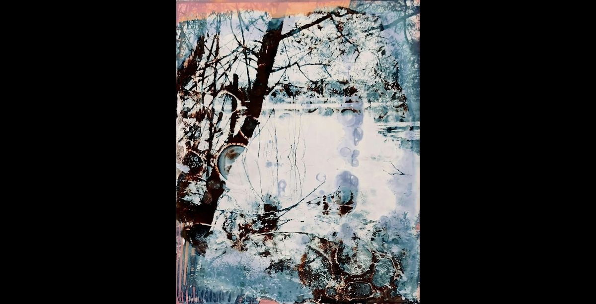 Celebrate Summer Solstice with Sunprints