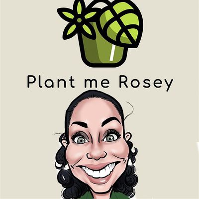 Plant me Rosey