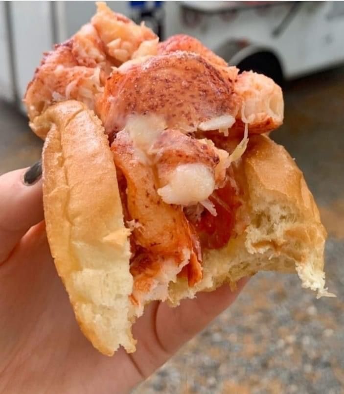 Lobster Dogs back at Radar Brewing Radar Brewing Company, Winston Salem, NC January 14, 2024