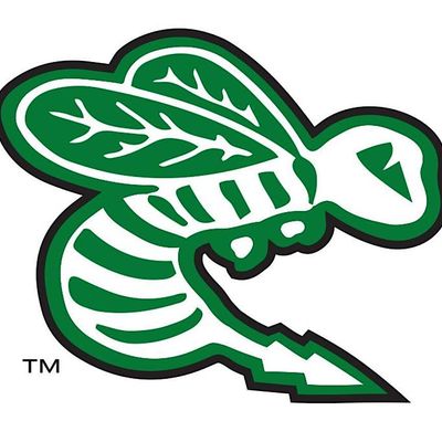 Edina Hockey Association