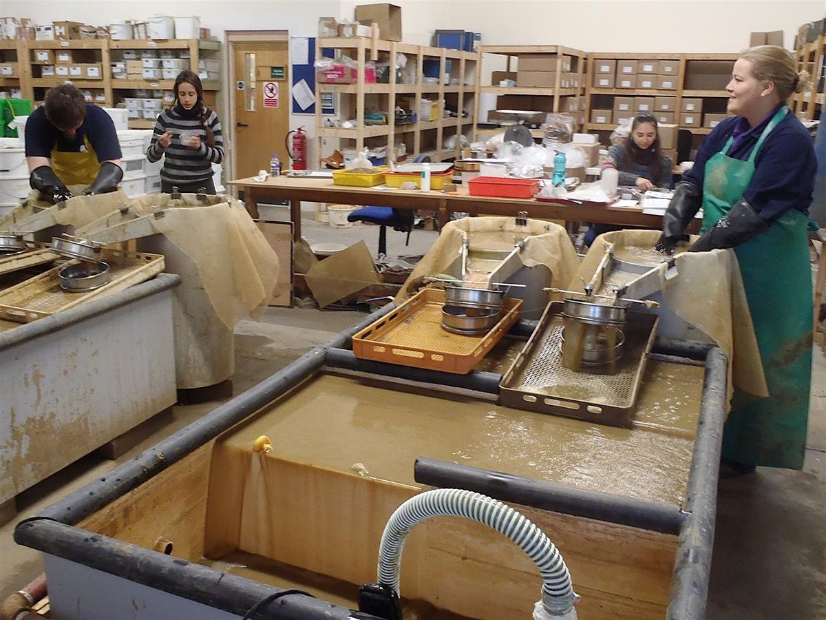 Archaeological Processing of CRI-T Drain Fill Samples