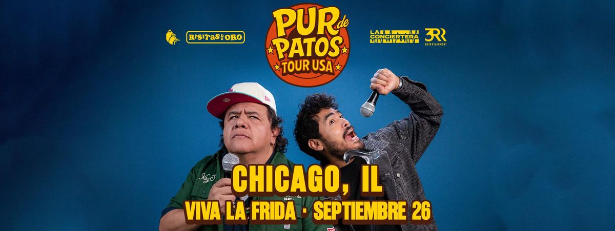 PUR DE PATOS EN CHICAGO