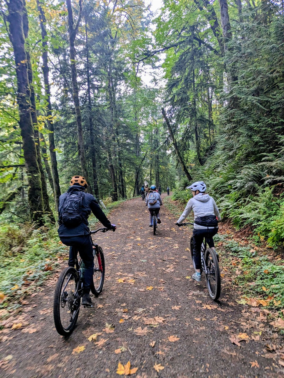 Powell Butte Ecologist-led Nature Ride