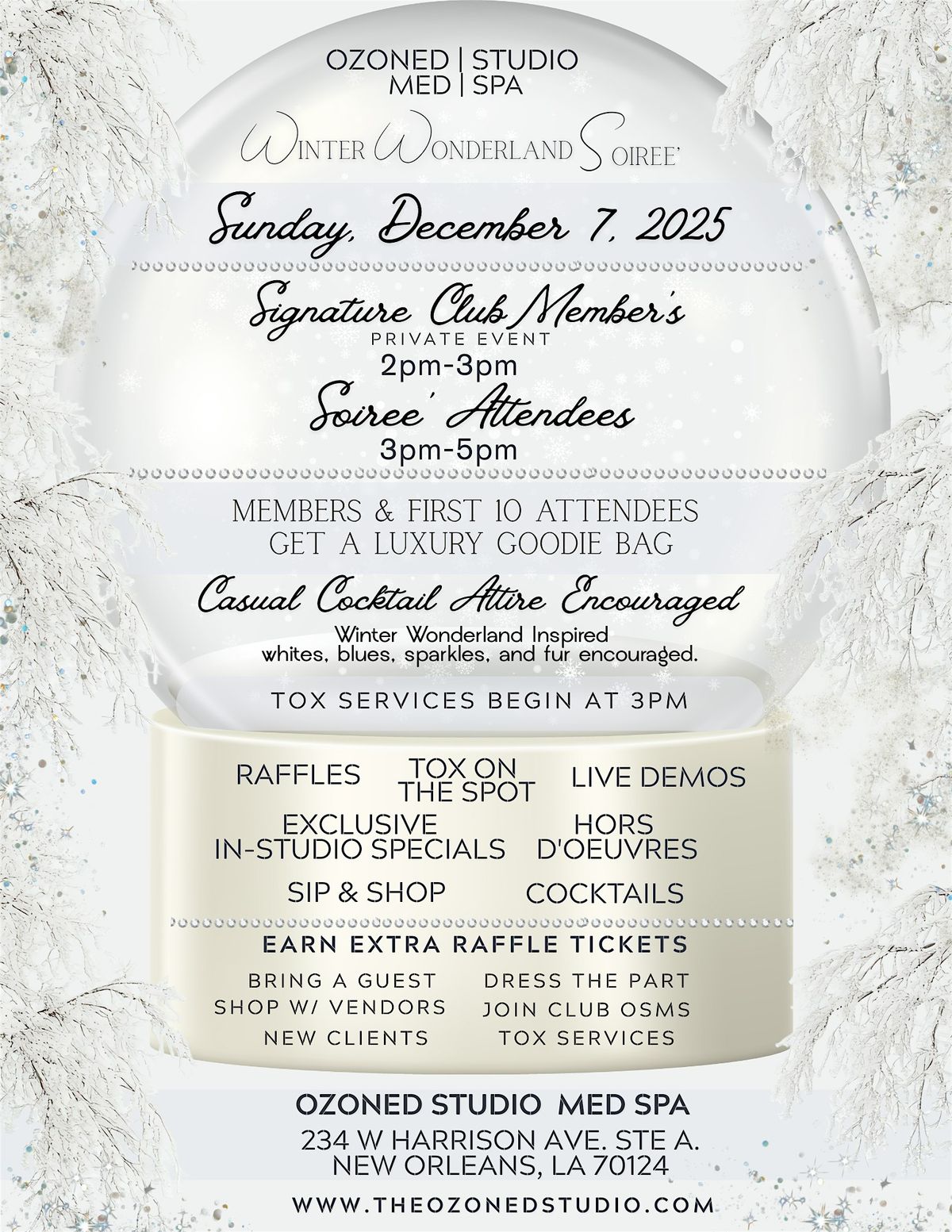 Winter Wonderland Soiree' at Ozoned Studio Med Spa