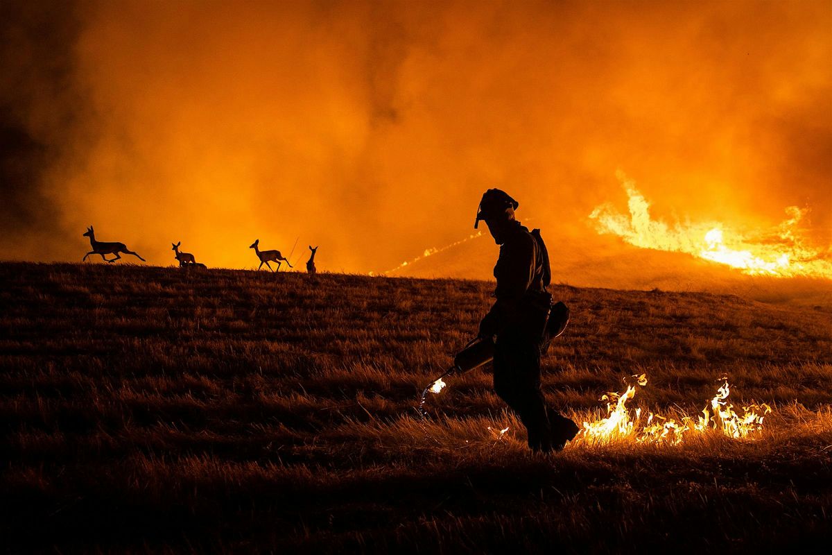 ENLIGHTENMENT: Photojournalist Max Whittaker on Covering News in California