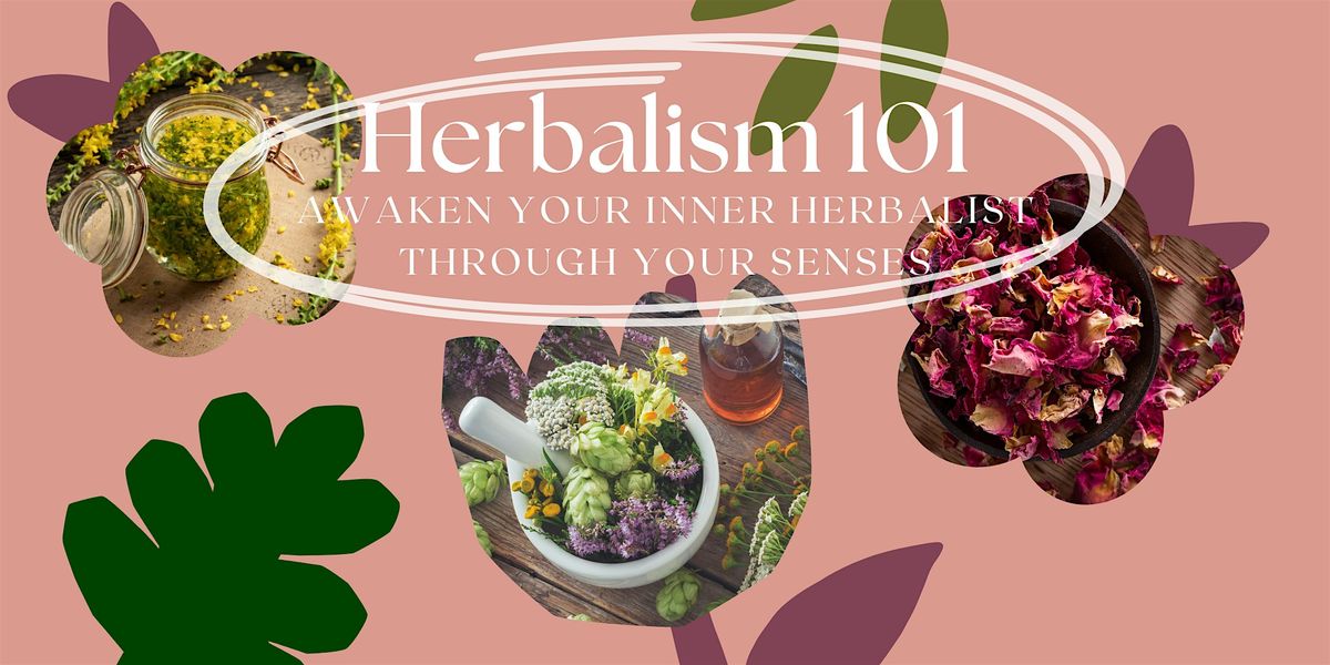 Herbalism 101: Awaken your Inner Herbalist through your Senses