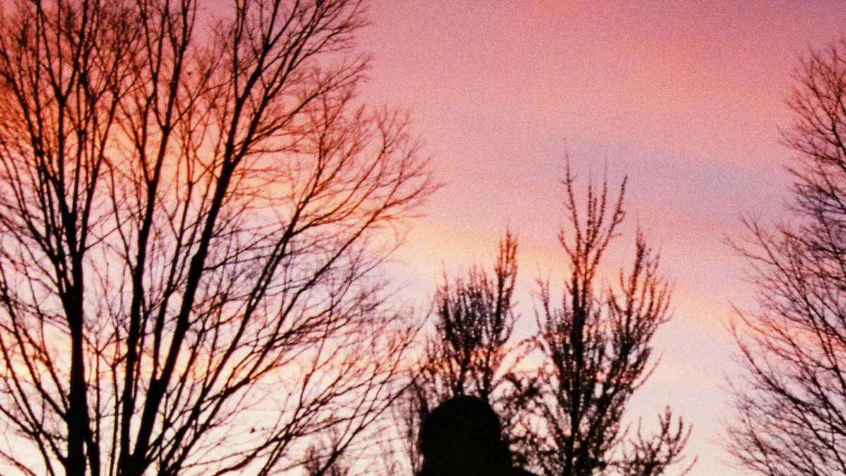 Scarlet House in Cambridge