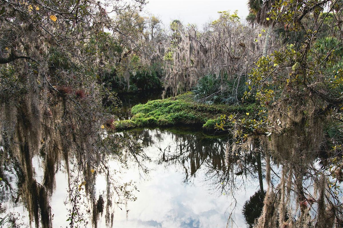 Brevard Hiking Club | Turkey Creek Boardwalk December Hike