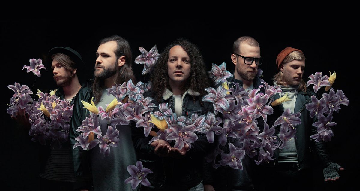 A Lot Like Birds with Head Automatica