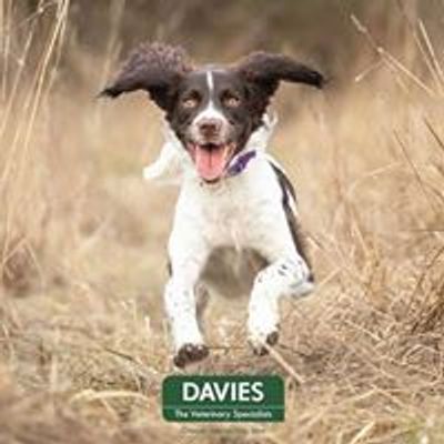 Davies Veterinary Specialists