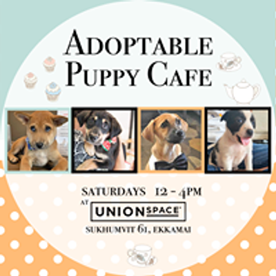 The Adoptable Puppy Cafe