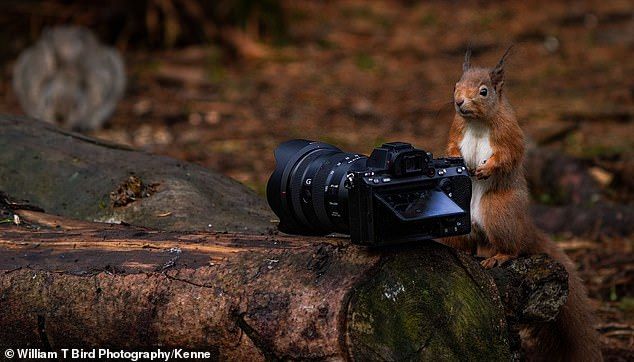 Snapshots Photography Club