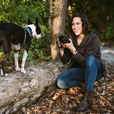 Hannele Lahti | dog photographer