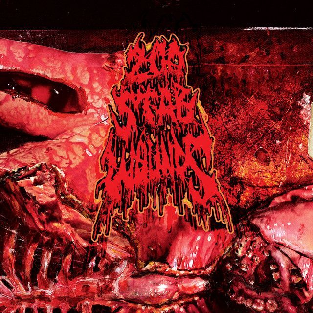 Dying Fetus, 200 Stab Wounds in Adelaide