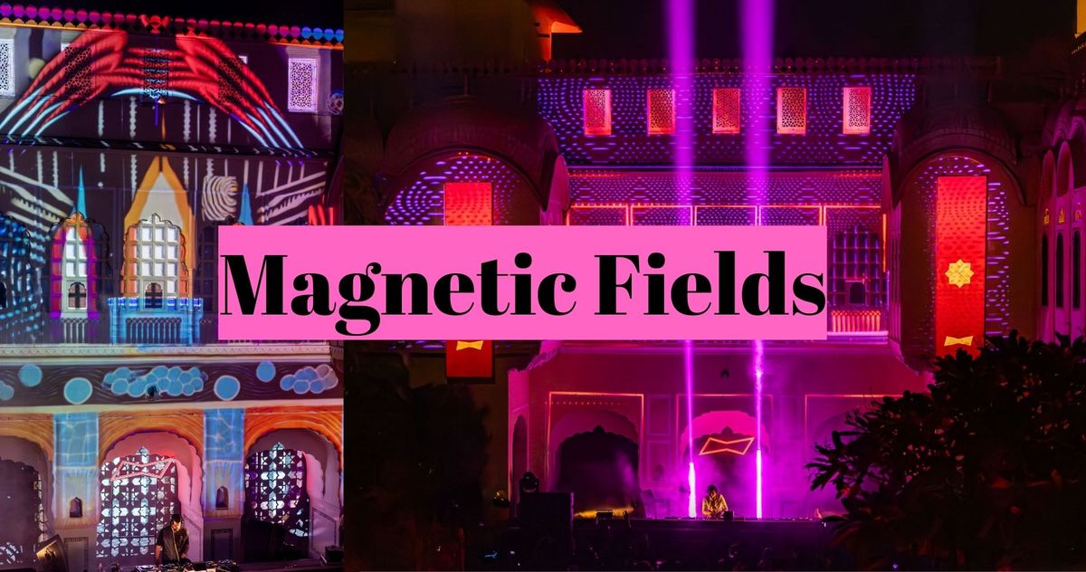 The Magnetic Fields