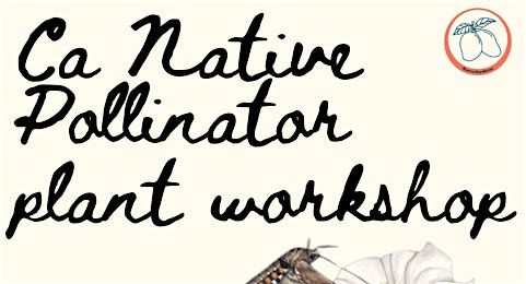 Ca Native Pollinator Plant Workshop