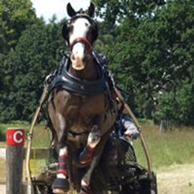 Thompson House Equestrian Centre