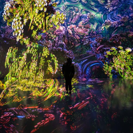 ARTECHOUSE Presents: Fractal Worlds