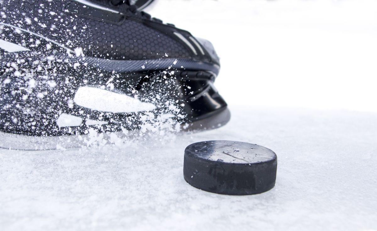 Greenville Swamp Rabbits at Florida Everblades | Hertz Arena, Estero, Florida | January 28, 2024