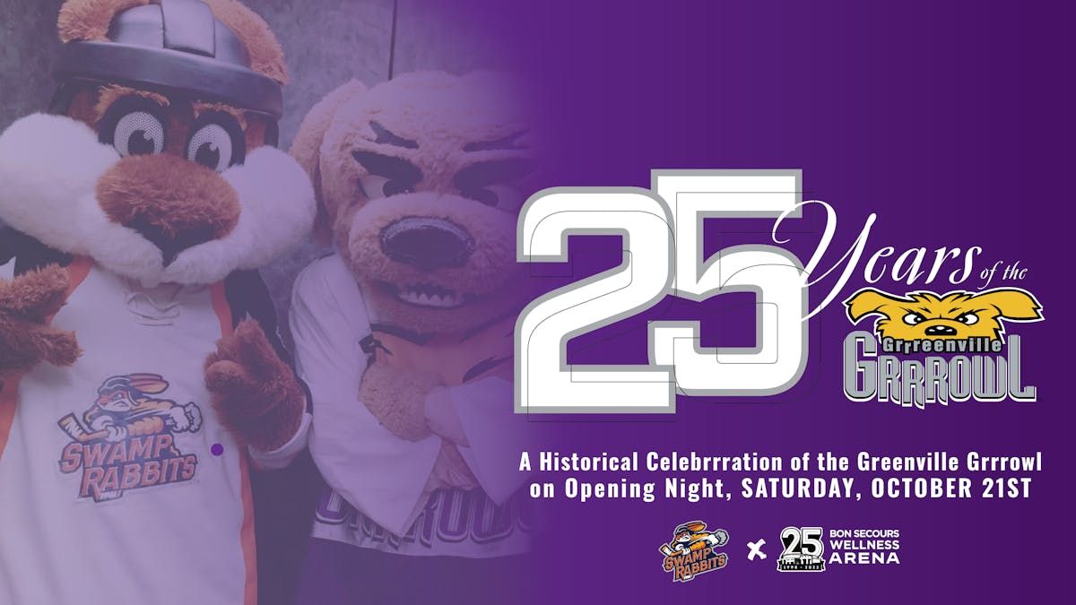 Greenville Swamp Rabbits at Reading Royals