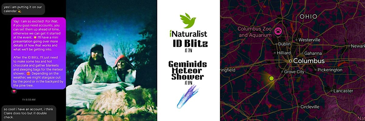 iNat ID Blitz & Geminids Meteor Shower Viewing