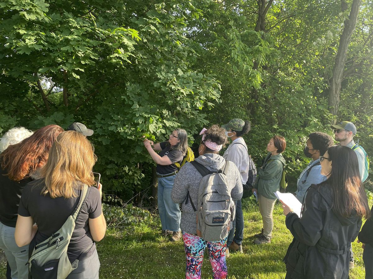 National Trails Day: Highbridge Park Guided Walk