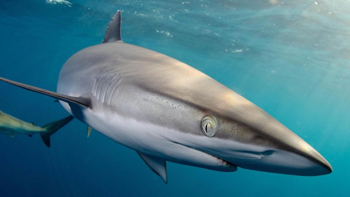 National Geographic Live - Madison