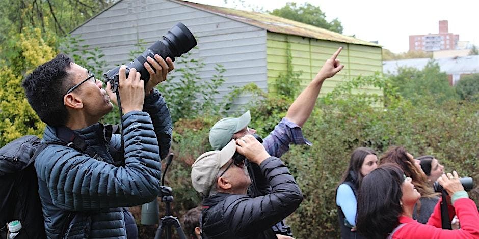 Spring Bird Walks with NYC Bird Alliance