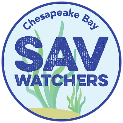 Chesapeake Bay SAV Watchers