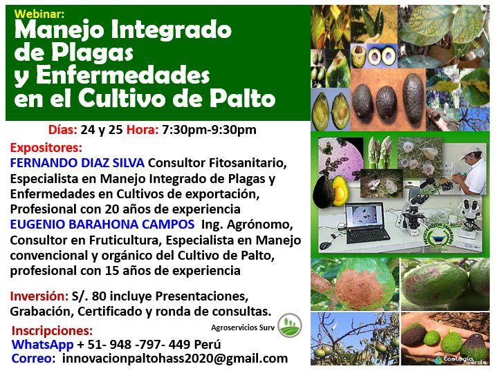 Webinar Manejo Integrado De Plagas Y Enfermedades En El Cultivo De Palto Online March 25 To 9881