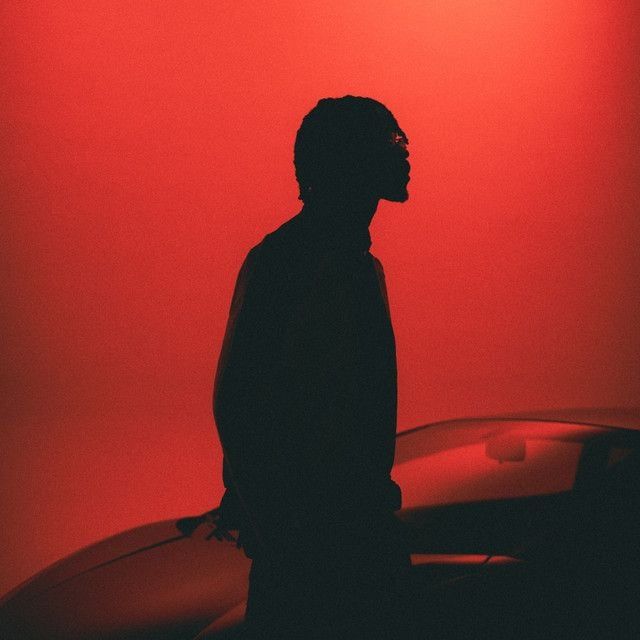 Timar, Rsko in Paris