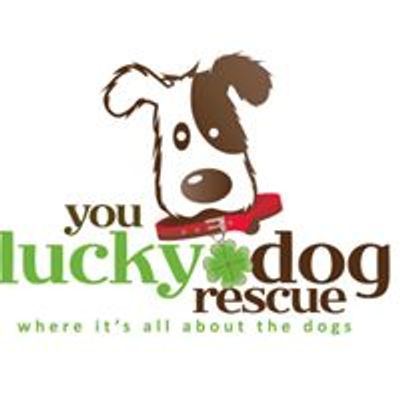 you lucky dog rescue