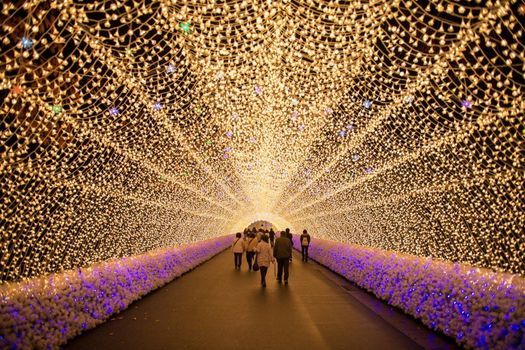 Japan Light Festival Utrecht | online | September 20, 2022